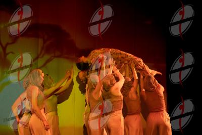 SHOW_00884.jpg
